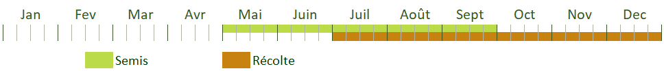 Calendrier de culture